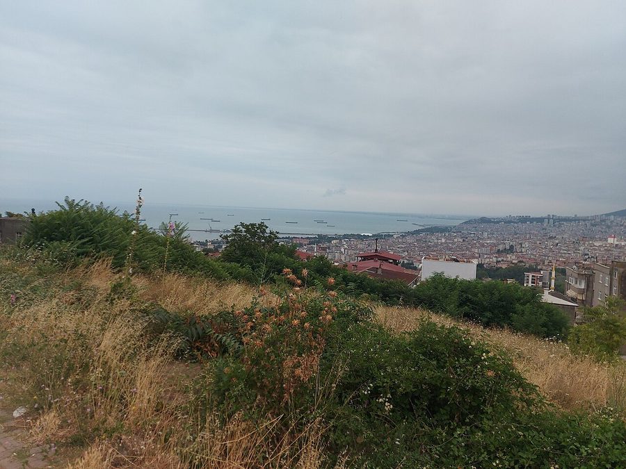 Amisos Hill Treasure Hunt